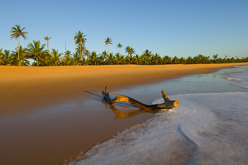 A deserted beach at Praia de Mogiquiçaba, Bahia, Brazil