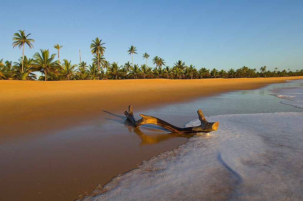 A deserted beach at Praia de Mogiquiçaba, Bahia, Brazil
